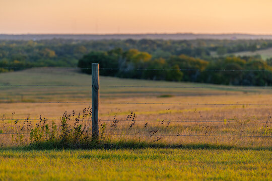 Barbed Wire Fence In Texas