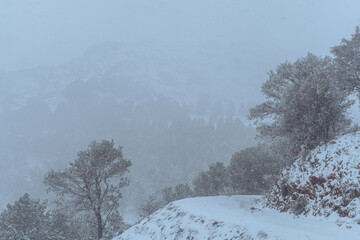 Nevada en la montaña solitaria de la sierra de Jaén