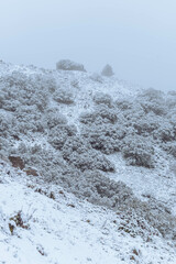 Nevada en la montaña solitaria de la sierra de Jaén