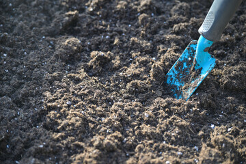 Small blue gardening shovel digging in dark brown soil, preparation for planting a flower or herb bed, copy space, selected focus