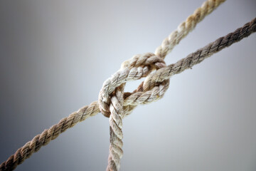 Two ropes joint together in a knot, concept for teamwork, business and partnership, gray background, copy space - 777744902