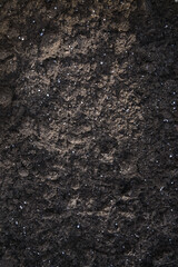 Dark brown plant soil, background texture, full frame, gardening and ecology concept, copy space
