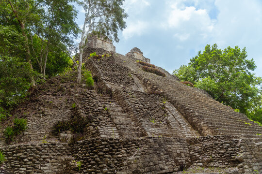 Mayan Pyramid In The Jungle In Mexico.