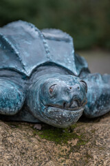 Card - figurine of a water turtle.