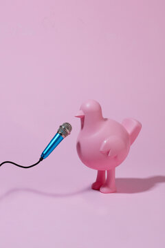 Singer bird