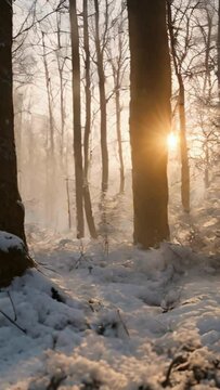 Sunrise in Winter forest Snowing 4K Vertical Video