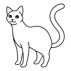 illustration of cat