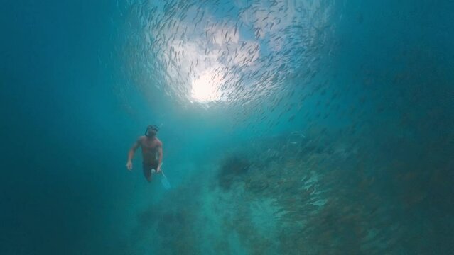 Freediver swims underwater in the tropical sea with school of fish