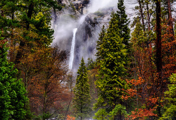 Fototapeta premium The lower cascade of the Yosemite falls in January with misty falls and some autumn colours 