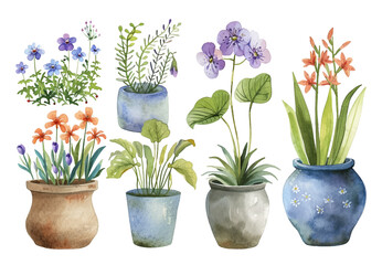 Set of watercolor painting spring or summer flowers and leaves branch in pot garden plants vector illustration