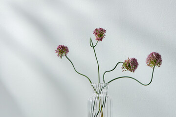 Small fresh flowers of purple garlic