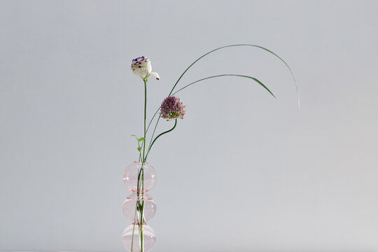 Glass vases with beautiful wildflowers on white background