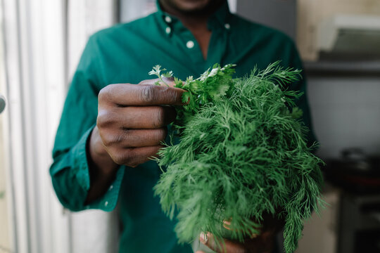 A man with dill and parsley