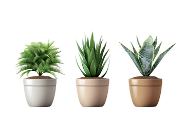 Plastic Plant Pots isolated on transparent background