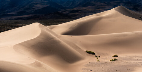 Shaped by wind. Death Valley. California (vt)