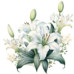 Watercolor frame, Lily, Rustic greenery. Hand drawn botanical illustration isolated on white background. Ideal for stationery, invitations, save the date.