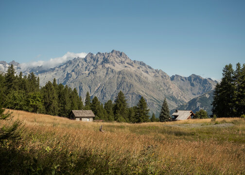 Hut on a prairie grass in the summer.