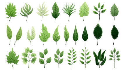 Big set natural of Tropical green leaves of leaf isolated on white background, varies different of plant botanical vector illustration. - obrazy, fototapety, plakaty
