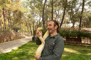 The man holding a snake. Albino burmese python..Python molurus bivittatus.