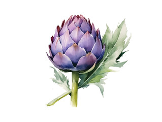Fresh Organic Artichoke Vegetable Background, Square Watercolor Illustration. Healthy Vegetarian Diet. Soft Colored Watercolor Illustration with Delicious Juicy Artichoke Vegetable.