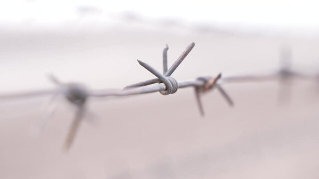 Barbed wire close up, country borders,