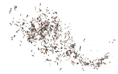 Black Darjeeling tea dried leaves flying isolated on white 