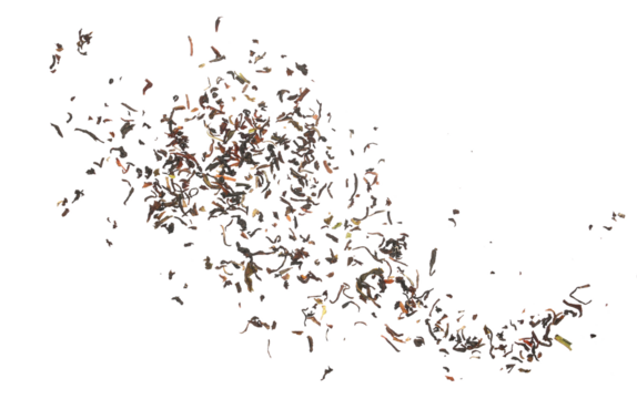 Black Darjeeling tea dried leaves flying isolated on white 