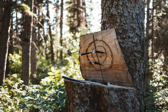 tree trunk target