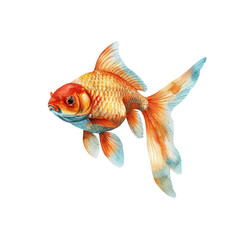 goldfish vector illustration in watercolor style
