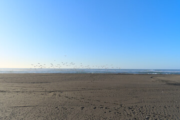 Deserted sand beach at sunset during windy summer day on pacific ocean (Iloca, Chile)