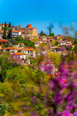 Spring scenery in the area of Kanalia in Greece, consisting of pink flowers, buildings and old church.  - obrazy, fototapety, plakaty