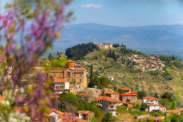 Spring scenery in the area of Canal and Fanari in Greece, consisting of pink flowers, buildings and...