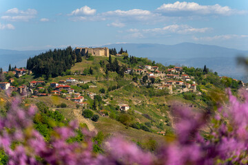 Spring scenery in the area of Canal and Fanari in Greece, consisting of pink flowers, buildings and the ancient castle.