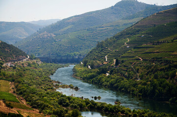 Winnice Portugalii i rzeka 