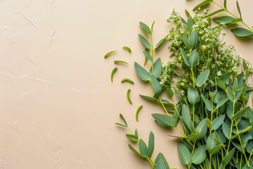 Flat Lay Display of Delicate Plants on A Neutral Background