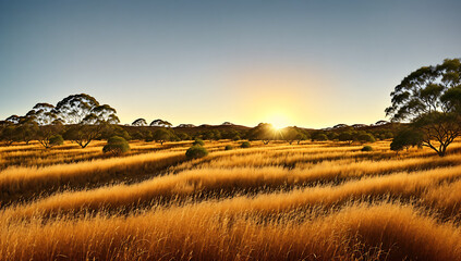 Sunset in the Australian Outback