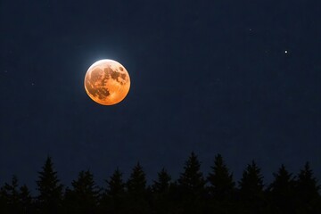 Fototapeta na wymiar The moon over the forest