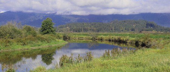 Green country scenery spring time