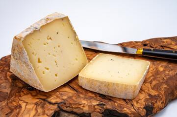 Piece of Ciambella Trufilo cheese made with summer truffel from Piedmontese cow milk in Langa area, Italy