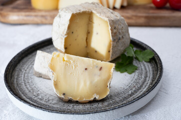 Italian hard cheese truffelino romano with black summer truffles mushrooms close up