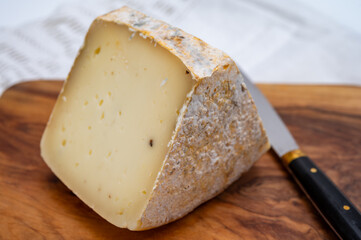 Piece of Ciambella Trufilo cheese made with summer truffel from Piedmontese cow milk in Langa area, Italy