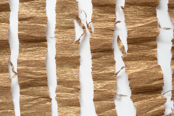torn metallic gold finish crepe paper with ragged edges on blank paper