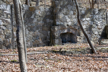 Old House Ruins with Fireplace in the Forest