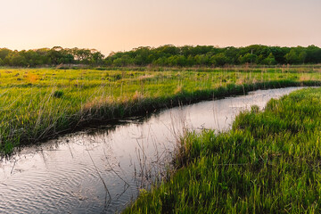 A small picturesque river among a green meadow during sunset. Small river in the countryside. Feeling of freedom, happiness, nostalgia. Tavrichanka, Primorsky Krai, Russia