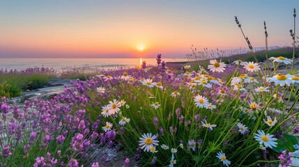 A harmonious blend of nature’s palette at twilight on a secluded beach