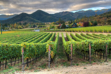 Fototapeta na wymiar Talent Oregon Mountains and Vineyard