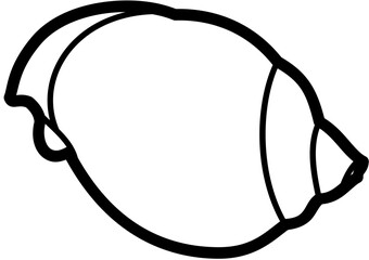 sea shell sand beach