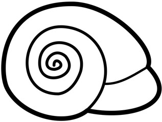 sea shell sand beach