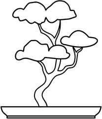 mini plant bonsai 