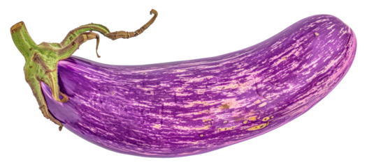 A purple vegetable with a green stem, cut out - stock png.